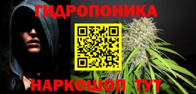 шишки Пушкино