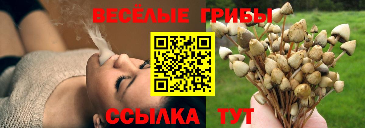 Галлюциногенные грибы Cubensis Советская Гавань